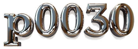 p0030 logo
